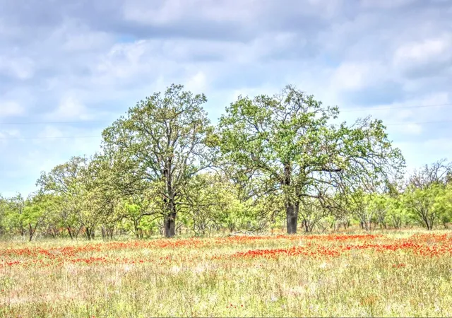 Homes for sale in Willow City, TX | Lot 4 Rm 1323, Willow City, TX 78675 | MLS# 7102776