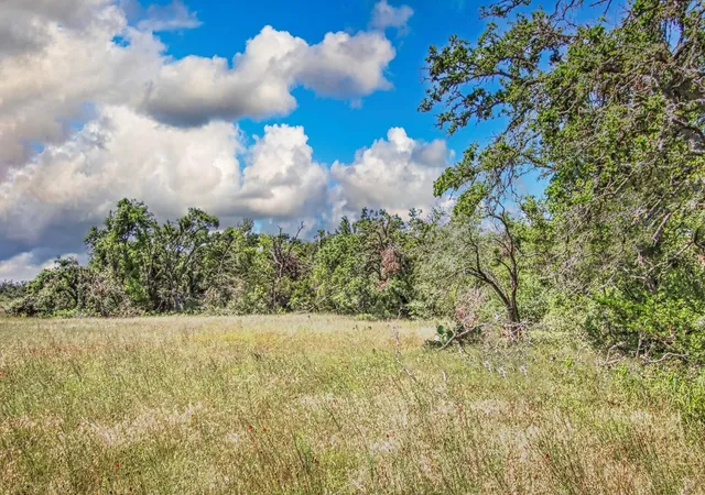 Homes for sale in Willow City, TX | Lot 4 Rm 1323, Willow City, TX 78675 | MLS# 7102776