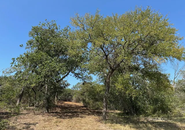 4th image of 105 Winding River Rd, Kempner, TX 76539 | MLS# 3595802