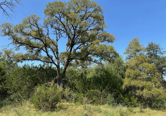 5th image of 105 Winding River Rd, Kempner, TX 76539 | MLS# 3595802