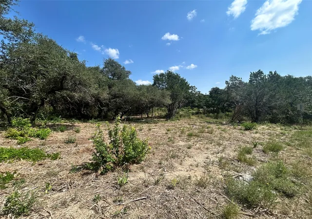 3rd image of 18310 Austin Dr, Jonestown, TX 78645 | MLS# 2842799