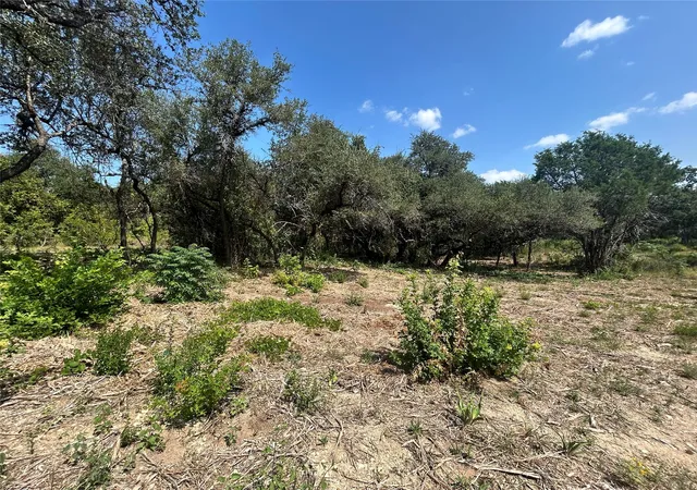 4th image of 18310 Austin Dr, Jonestown, TX 78645 | MLS# 2842799