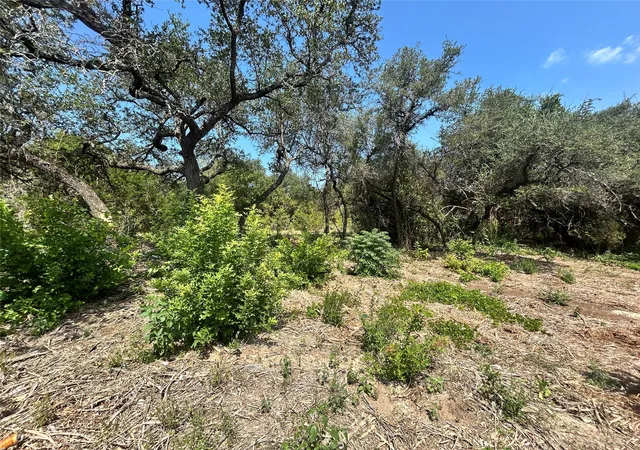5th image of 18310 Austin Dr, Jonestown, TX 78645 | MLS# 2842799