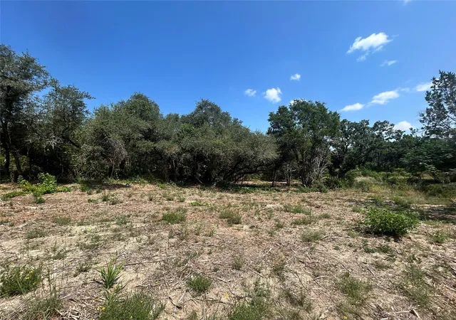8th image of 18310 Austin Dr, Jonestown, TX 78645 | MLS# 2842799