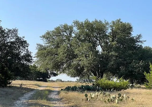 2nd image of 4547 County Road 108, Burnet, TX 78611 | MLS# 4070629