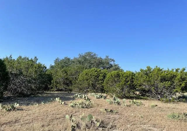 5th image of 4547 County Road 108, Burnet, TX 78611 | MLS# 4070629