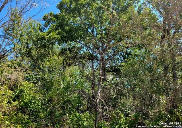 19th image of Tbd Dale Ln Ln, Dale, TX 78616 | MLS# 1458985