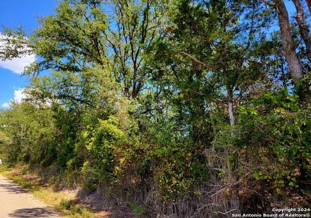 1st image of Tbd Dale Ln Ln, Dale, TX 78616 | MLS# 1458985