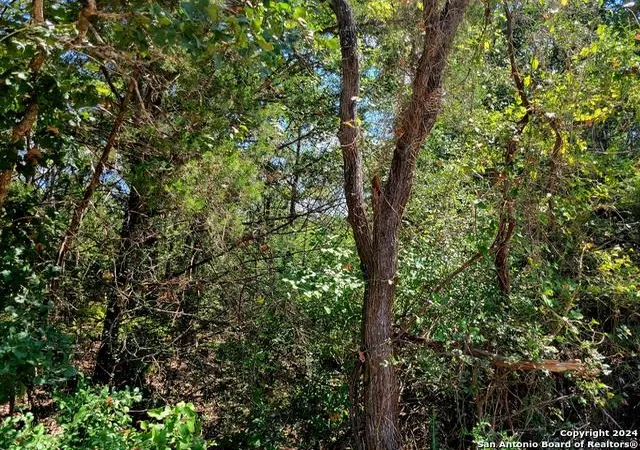 2nd image of Tbd Dale Ln Ln, Dale, TX 78616 | MLS# 1458985