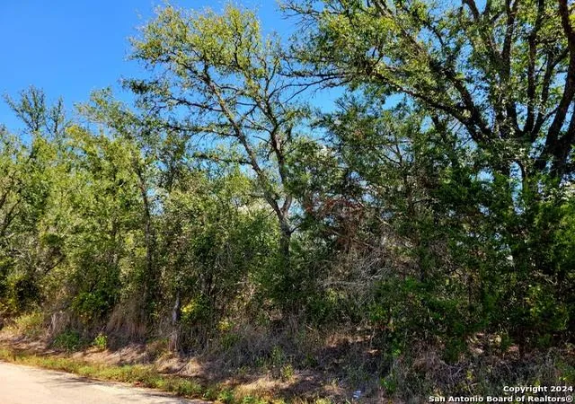 20th image of Tbd Dale Rd, Dale, TX 78616 | MLS# 3073809