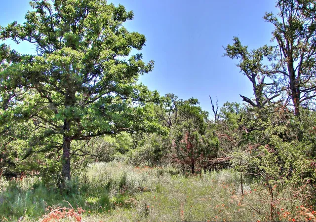 Homes for sale in Willow City, TX | Lot 6 Rm 1323, Willow City, TX 78675 | MLS# 2323712
