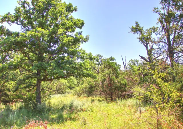 Homes for sale in Willow City, TX | Lot 6 Rm 1323, Willow City, TX 78675 | MLS# 2323712