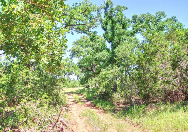 Homes for sale in Willow City, TX | Lot 6 Rm 1323, Willow City, TX 78675 | MLS# 2323712