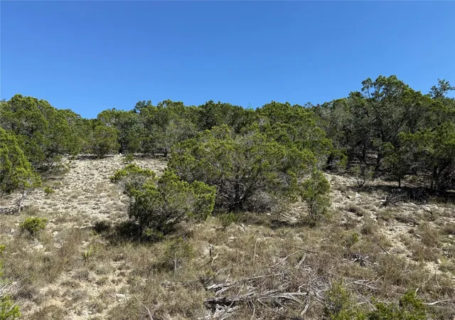 5th image of 917 Roy Creek Trl, Dripping Springs, TX 78620 | MLS# 6968742