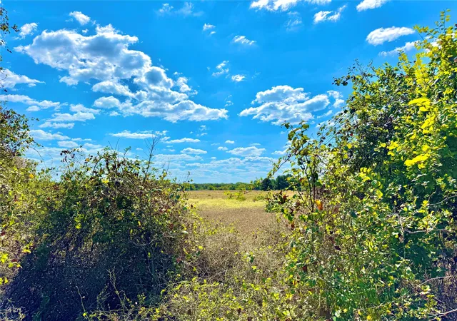 3rd image of Tbd 5062 Acres Rabel Rd, Rosanky, TX 78953 | MLS# 8612901