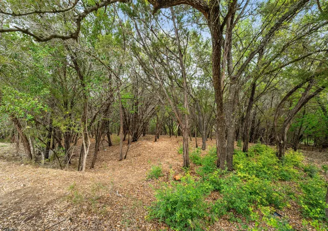 5th image of 1707 Lipan Trl, Austin, TX 78733 | MLS# 4831731