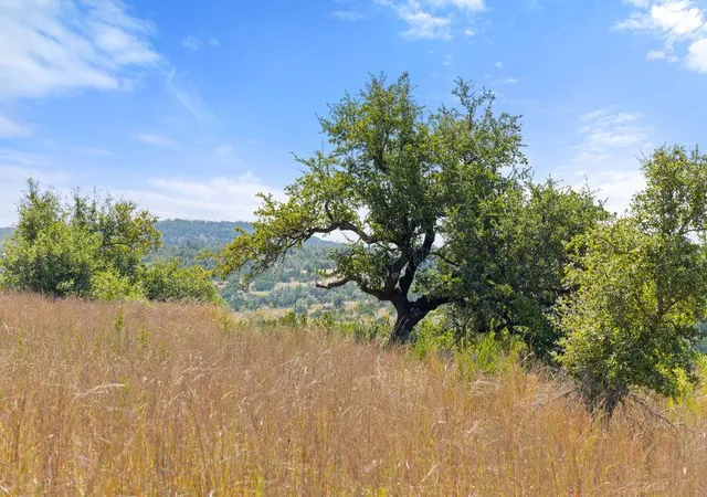 2nd image of Tract 2 Of 5818 Ranch Road 165, Blanco, TX 78606 | MLS# 7583203