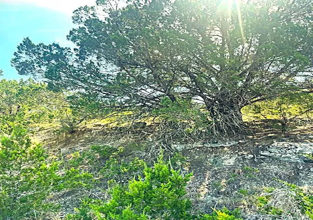 1st image of 20001 Calhoun Ave, Leander, TX 78645 | MLS# 2786272