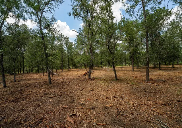 1st image of 3980 (tract 5) Fm 3158, Dale, TX 78616 | MLS# 5819249