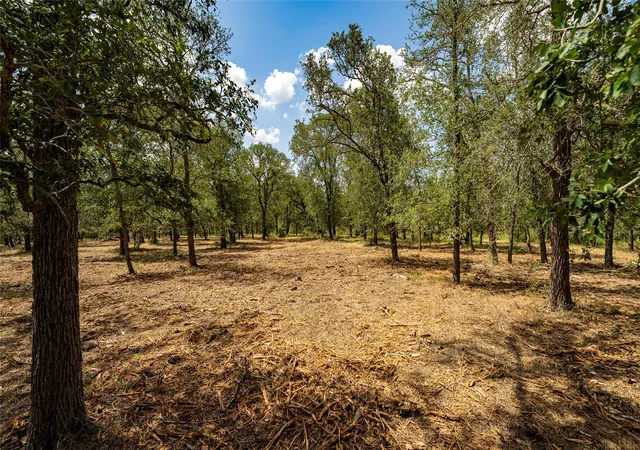 22nd image of 3980 (tract 5) Fm 3158, Dale, TX 78616 | MLS# 5819249
