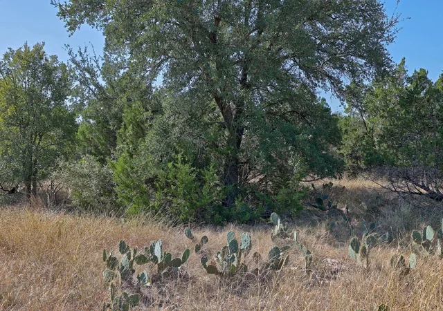 3rd image of 123 Appaloosa Cv, Jarrell, TX 76537 | MLS# 5064497
