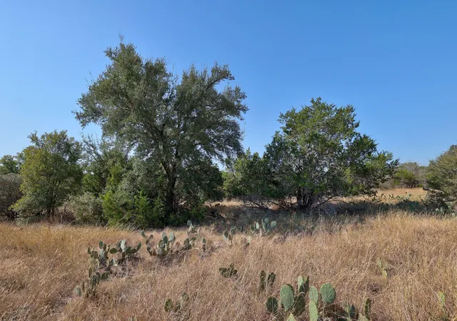 4th image of 123 Appaloosa Cv, Jarrell, TX 76537 | MLS# 5064497