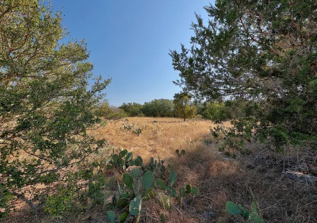 5th image of 123 Appaloosa Cv, Jarrell, TX 76537 | MLS# 5064497