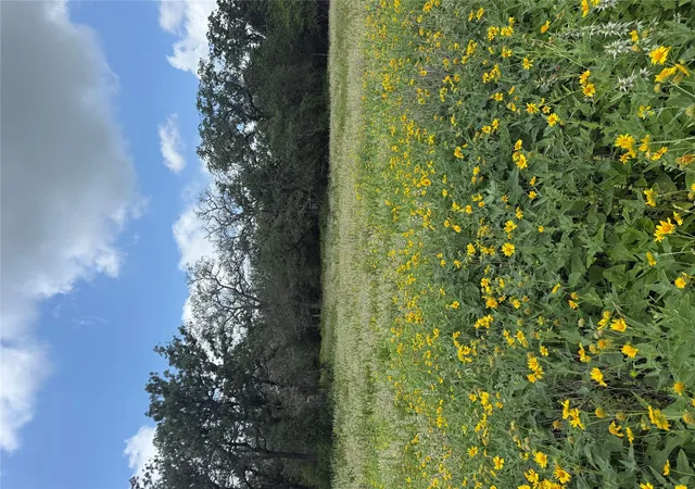 4th image of 2135-2025 Mule Creek Rd, Harwood, TX 78632 | MLS# 7033934