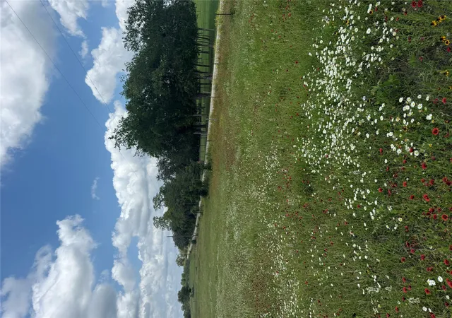 5th image of 2135-2025 Mule Creek Rd, Harwood, TX 78632 | MLS# 7033934