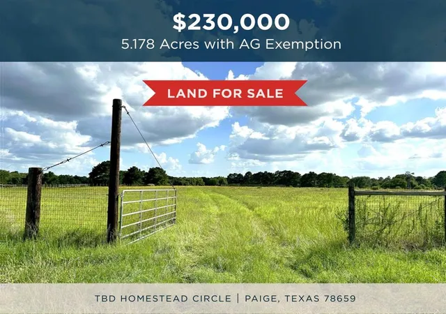 Homes for sale in Paige, TX | Tbd Homestead Cir, Paige, TX 78659 | MLS# 1433526
