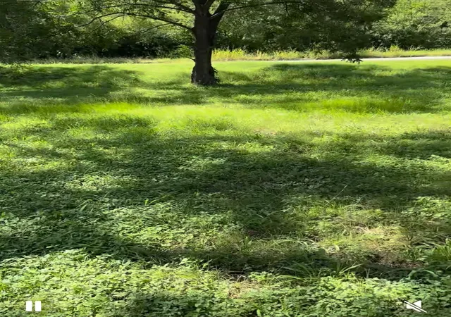 1st image of 10002 Hwy Fm 969 Rd, Austin, TX 78724 | MLS# 6352062