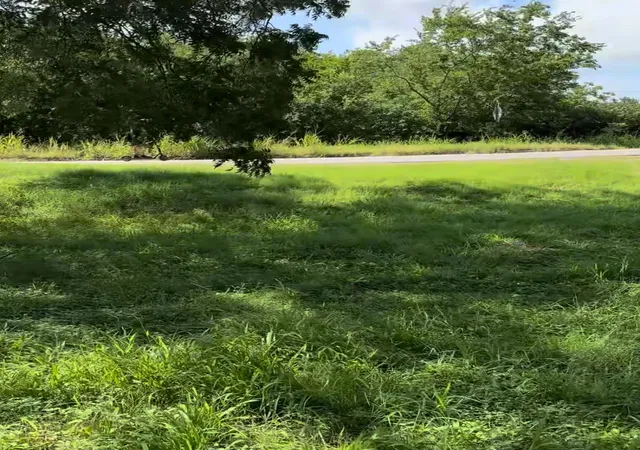3rd image of 10002 Hwy Fm 969 Rd, Austin, TX 78724 | MLS# 6352062