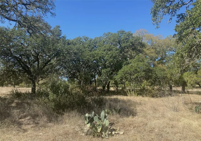 3rd image of 0 Spoke Hollow Rd, Wimberley, TX 78676 | MLS# 2219878