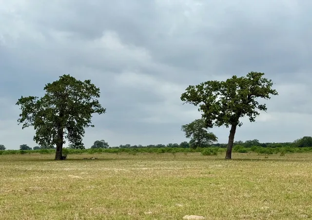 2nd image of 3 Big Sky Ranch Rd, Smithville, TX 78957 | MLS# 8732439