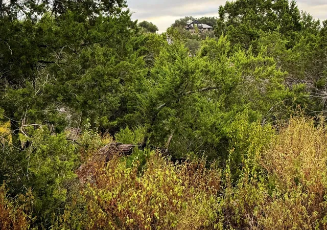 5th image of 13910 Saskatchewan Dr, Austin, TX 78734 | MLS# 9632691