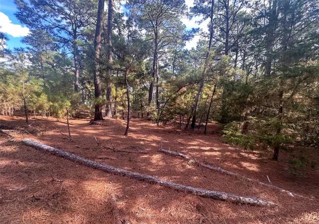 Homes for sale in Bastrop, TX | Lot 84 Hill Ridge Dr, Bastrop, TX 78602 | MLS# 9432729