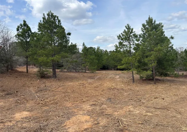 Photo 3 of Land for sale at 187 K C Dr, Bastrop, TX 78602 | MLS# 8261051 | Listing updated on 2026-09-12