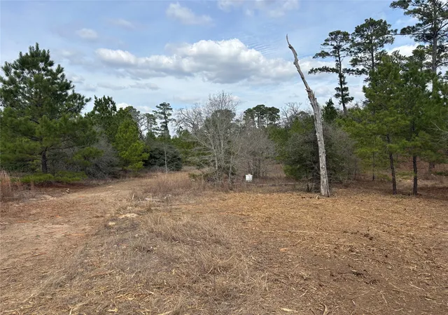 Photo 3 of Land for sale at 187 K C Dr, Bastrop, TX 78602 | MLS# 8261051 | Listing updated on 2026-09-12