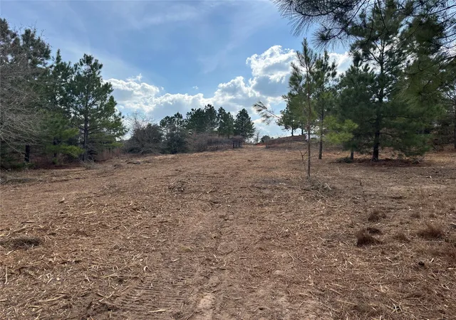 Photo 4 of Land for sale at 187 K C Dr, Bastrop, TX 78602 | MLS# 8261051 | Listing updated on 2026-09-12