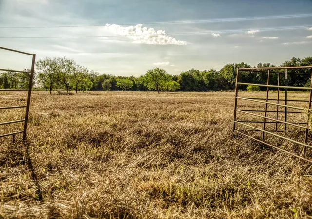 1st image of 460 County Road 328, Caldwell, TX 77836 | MLS# 5803310