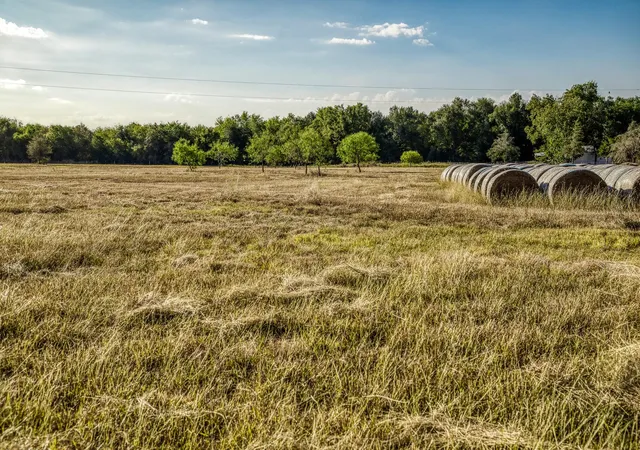 2nd image of 460 County Road 328, Caldwell, TX 77836 | MLS# 5803310