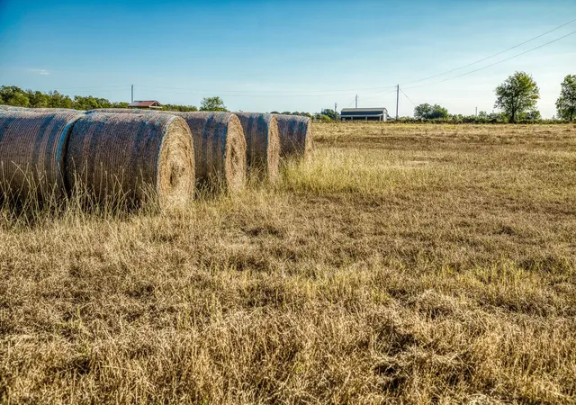 5th image of 460 County Road 328, Caldwell, TX 77836 | MLS# 5803310