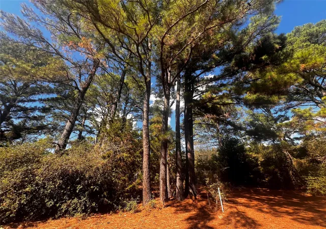 2nd image of 411 Laura Ln, Bastrop, TX 78602 | MLS# 9048603