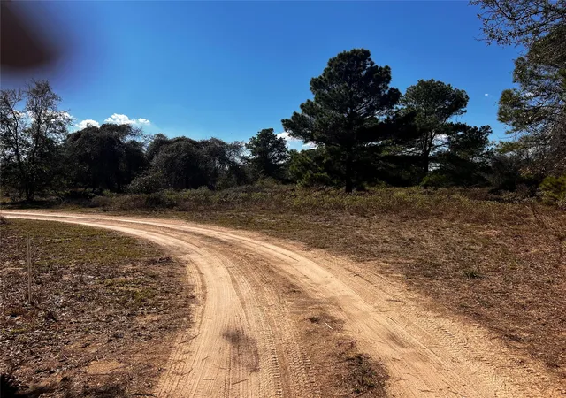 3rd image of 411 Laura Ln, Bastrop, TX 78602 | MLS# 9048603