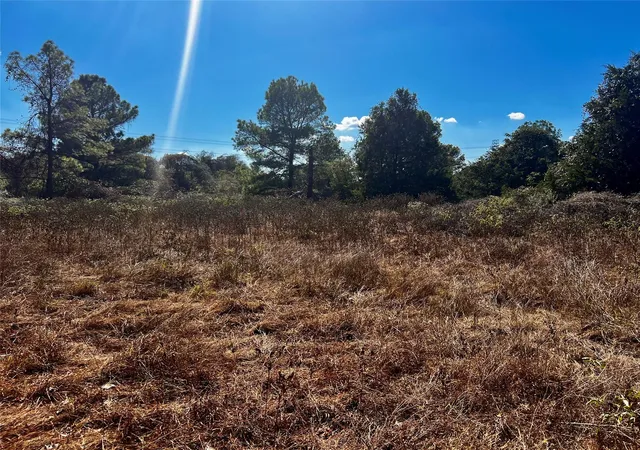 4th image of 411 Laura Ln, Bastrop, TX 78602 | MLS# 9048603
