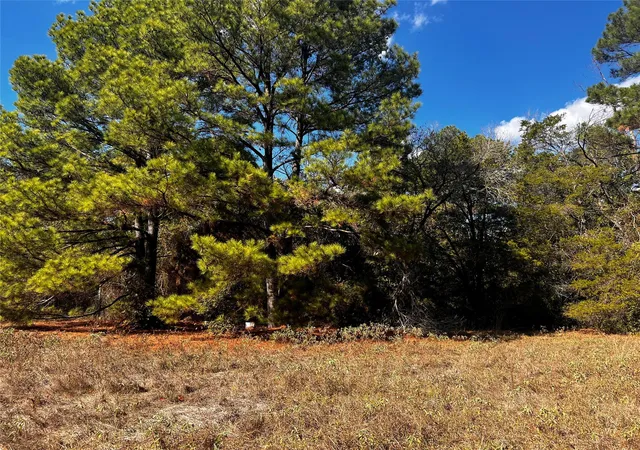 5th image of 411 Laura Ln, Bastrop, TX 78602 | MLS# 9048603