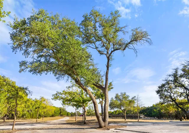 18th image of 205 Mesquite Trl, Wimberley, TX 78676 | MLS# 6610911