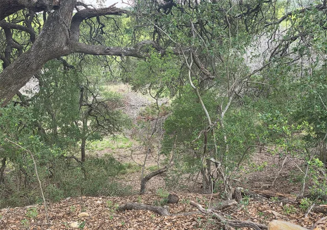 3rd image of Tbd Sycamore Creek Dr, Dripping Springs, TX 78620 | MLS# 7399548