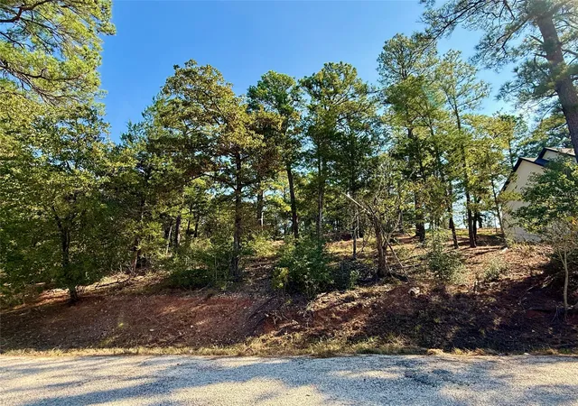 1st image of 109 And 115 Olomana Ct, Bastrop, TX 78602 | MLS# 1663778