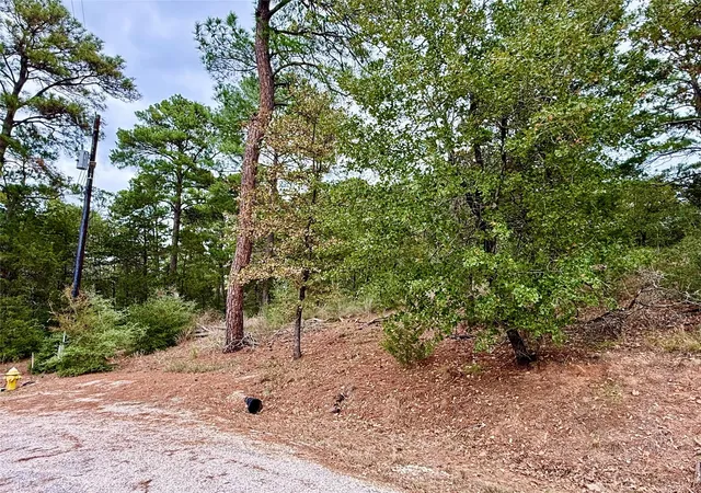 2nd image of 109 And 115 Olomana Ct, Bastrop, TX 78602 | MLS# 1663778